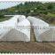 HDPE green agriculture netting
