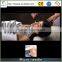 Electric micro-nanometer Needle microneedles needles microneedles micro nano silicon wafer Needle
