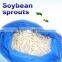 US Hot saler Automatic soya bean sprout growing machine, electric bean sprout machine