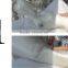 Wholesale Cheap Torso Bust Female Mannequin and Good quality YZB-4