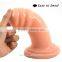 660G Large Dildo Thread Anal Plug Sex Toys 20*5.5 cm Butt Plug