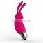 Sex Toy Rabbit Ears Vibrator for Women G spot Silicone Plastic