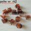Mini Small Hair Claw light color tortoise shell Hair Accessories Factory Kids Plastic Hair Clip Claw Clamp