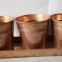 2018 copper painting finish of iron flower pot with handle