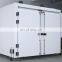 Liyi Large Industrial 700 Degree Walk High Temperature Test Plastic Drying Oven