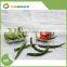 Clear PET plastic vegetable packaging box,First manufacturer of PET products in China, best supplier