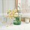 Nordic Home Decoration Transparent Clear Bag Bubble Glass Flower Vase HandBag