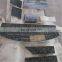 cheap price Bitter Fountain granite, green granite tiles