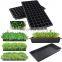 Mini Propagator Plant Grow Thickened 72 Cells Gardening Germination Seed Starter Nursery Planting Pots Seedling Planter Tray