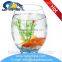 New design glass fish tank with low price