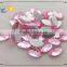 Hot Fix Acrylic Stone Horse Eyes Mesh Face
