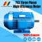 160kw 4 pole YE3/IE3 series three phase high efficiency motor