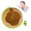 Wholesale Price Manufacturer Supply Food Raw Material Betula Alba Birch Leaf Powder From China