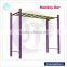 Direct manufacturer JT-10301B Outdoor fitness exercise equipment (scaling ladder)
