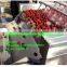 automatic high pressure washer/commercial fruit vegetable washer/vegetable washing machine prices