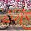 700C full golden frame fixed gear bike /700C student fixed gear bicycle