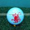 Print your logo new color golf balls OEM