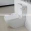 sanitary ware foshan watermark back to wall toilet 2062