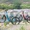 Chinese best e bike manufacturer,cheap aliminum alloy e bike with Brushless Motor