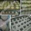 Pastry Production Line/bread Making Production Line