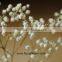 Flowers Wall Wedding Decor Dried Flowers For Flower Buyer Babysbreath