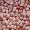 2014 crop Chinese groundnut kernels with low price