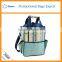 Summar food delivery mini bulk cooler bag