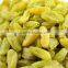 2016 new seedless green raisins fruit product dry fruit
