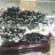 Natural Beauteous Green Quartz Crystal Stone Cluster For Sale