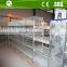 H type q235 galvanized steel automatic battery cage for rearing pullets