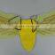 Hot sale yellow beautiful bee shape wing natural animal wing