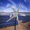 300w small wind turbine wind magnet generator