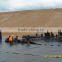 Multifunctional fish farm pond liner hdpe geomembrane for wholesales