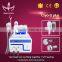 Flabby Skin CE Certificated Body Contouring Machine Frozen Cooling 4 In 1 Cryolipolysis Machine In  Body Reshape