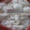 WOW!! Chinese double-scoured wool noil, 20mic, 30-40mm, good raw white color
