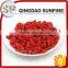 New Goode Quality Conventional Goji Berry Plant With Low Price