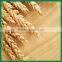 high quality dry Malt extract with best price from China
