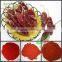 Chinese Red hot Chaotian chili yidu chili dry red chili