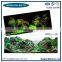 Good quality volcanic stone aquarium water conservancy