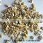 Coarse Expanded Vermiculite as growing medium for organic gardening