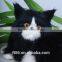 high quality plush animals fake fur black and white cat plush toys