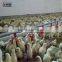plastic poultry water drinker /poultry feeders