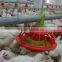 Hot prefabricated steel structure poultry shed