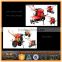 Agricultural/Garden Tractor Machine Gear Transmission Rotavator Tiller