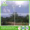 China Manufacturer Durable 1KW horizontal axis wind turbine generator energy price