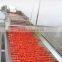 Tomato jam complete production line