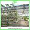 Professional Greenhouse Project commercial hydroponic systems