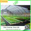 single span aquaponic Greenhouse