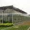 Commercial Greenhouse for agriculture