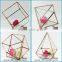 Indoor Plant Greenhouse Rose Gold Frame Hanging Glass Geometric Terrarium